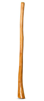 High Gloss Finish Flared Didgeridoo (NW142) 
